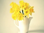 Narcisos amarillos en un jarrón