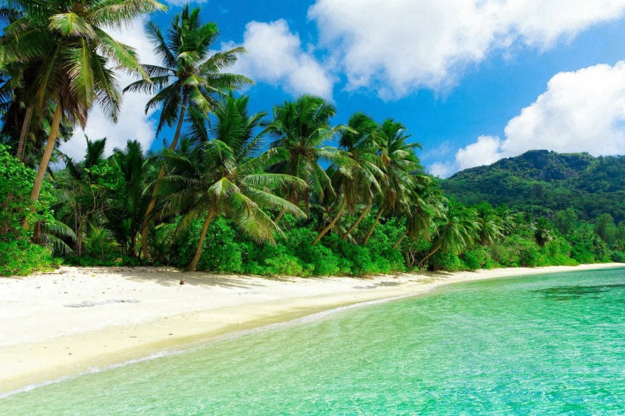 Playa tropical con gran vegetación