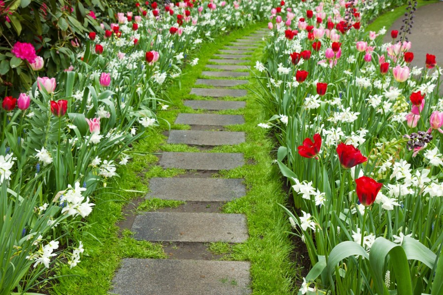 Camino con hermosas flores