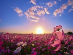 Los rayos del sol iluminan un campo con radiantes flores silvestres
