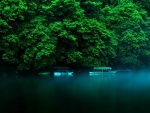 Botes en un río a orillas de una selva tropical
