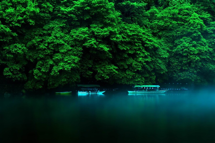 Botes en un río a orillas de una selva tropical