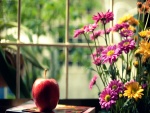 Margaritas y una manzana junto a una ventana