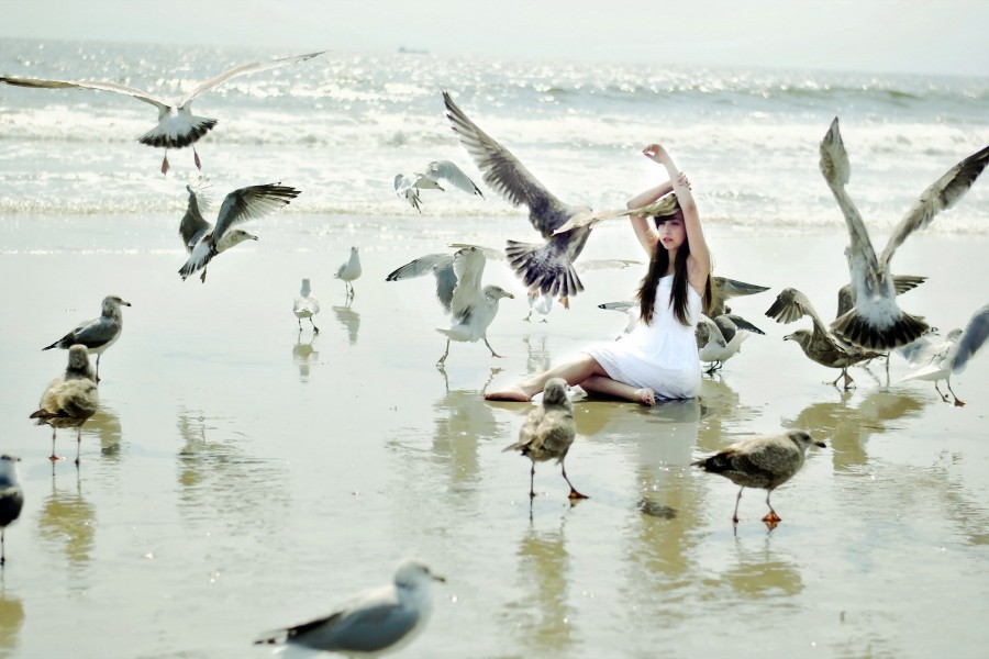 Chica sentada en una playa entre gaviotas