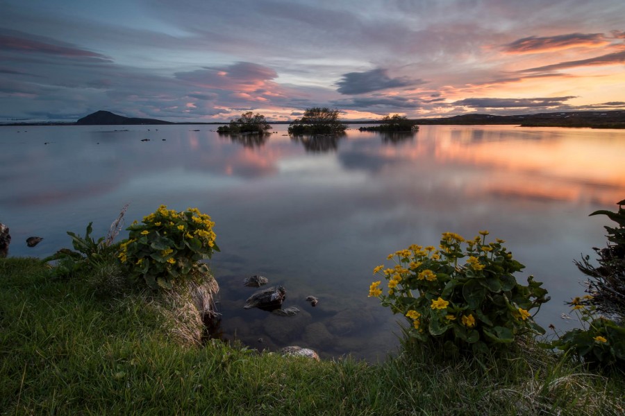 Amanecer en un lago en calma