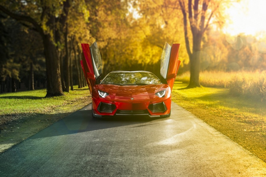 Lamborghini Aventador con las puertas abiertas en una carretera campestre