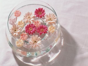Gerberas en un recipiente de vidrio con agua