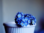 Bonitas florecillas azules
