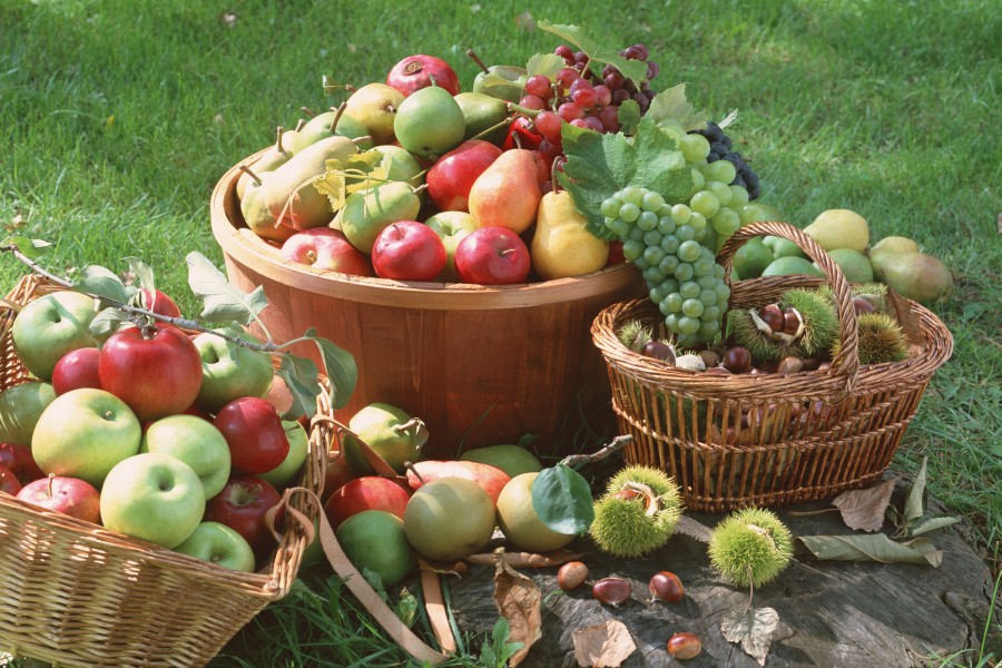 Exquisitas frutas frescas en cestas