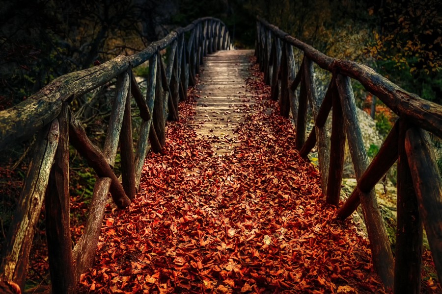 Puente de madera cubierto de hojas de otoño