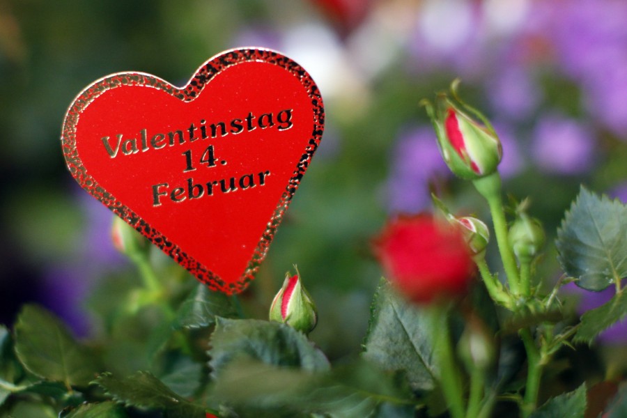 14 de febrero San Valentín