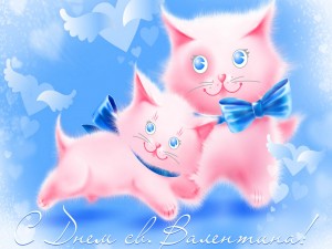 Dos lindos gatos de color rosa