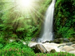 Los rayos del sol iluminan la belleza de la cascada