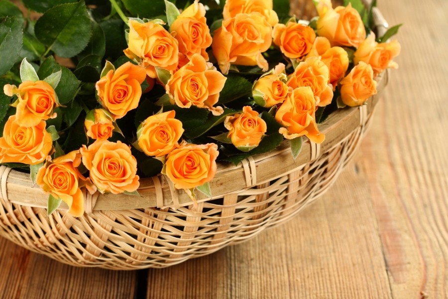 Rosas amarillas en una cesta