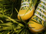 Zapatillas de deporte sobre la hierba