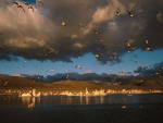 Aves en el lago Mono