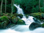 Hermosa cascada en un entorno verde