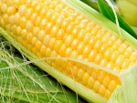 Un maíz amarillo