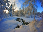 Un genial paisaje invernal