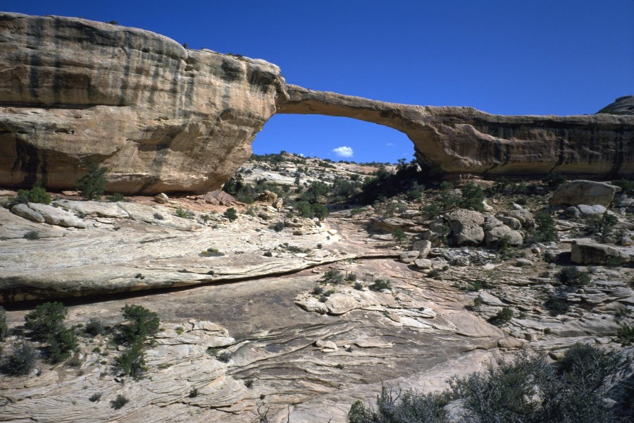 Puente natural Owachomo (Monumento nacional de los Puentes Naturales, Utah)