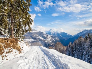 Camino cubierto de nieve