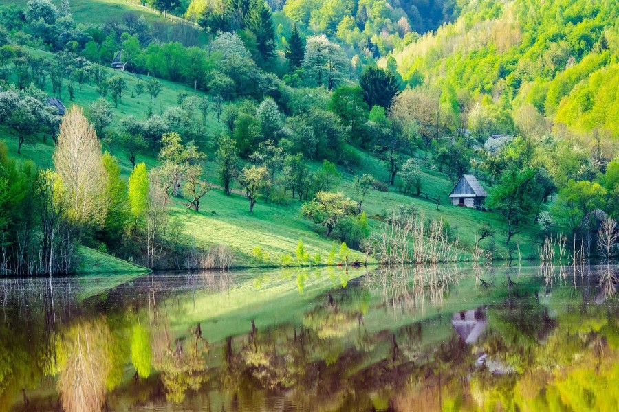 Paisaje a orillas del río con agua cristalina