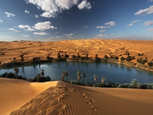 Oasis en el desierto de Libia