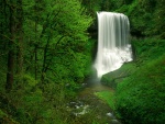 Hermosa cascada en un bosque verde