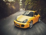 Porsche 996 amarillo en el camino