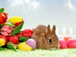 Un conejo junto a tulipanes y huevos de Pascua