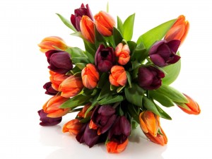 Ramo de tulipanes naranjas y púrpuras