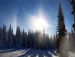 Efecto de halo óptico sobre el bosque de los Urales en invierno