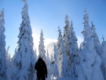 Caminando a través de un bosque cubierto de nieve