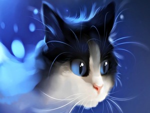 Gatito sobre un fondo azul