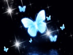 Brillantes mariposas