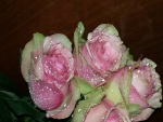 Manojo de rosas de color rosa con gotas de agua