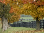 Una granja de caballos en otoño