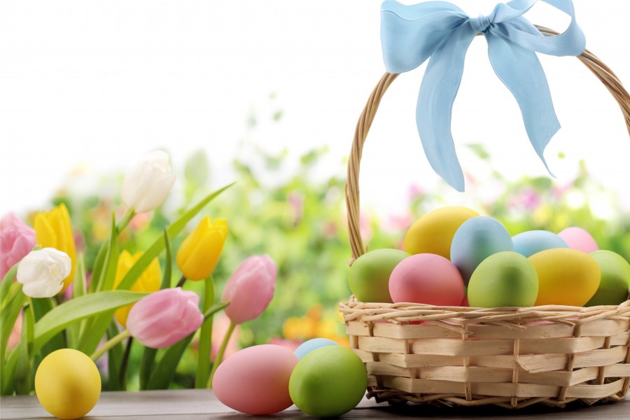 Cesta con moño y huevos de Pascua junto a unos bellos tulipanes