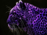 Leopardo abstracto de color púrpura