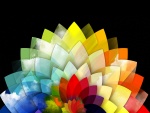 Flor de colores en 3D