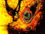 Pintura abstracta de una mariposa y toques de color