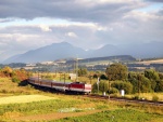 Tren cruzando por hermosos paisajes rurales