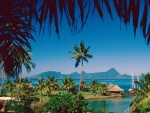 Moorea (Tahití)