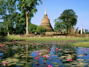Flores de loto en el Parque Histórico de Sukhothai (Tailandia)
