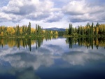 Pinos reflejados en el lago
