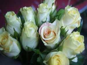 Formidable ramo de rosas blancas