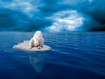 Oso polar en una placa de hielo