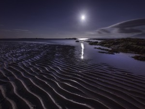 Luna brillando en marea baja