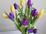 Tulipanes color amarillo y púrpura en un recipiente