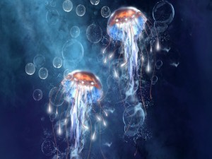 Medusas bajo el mar